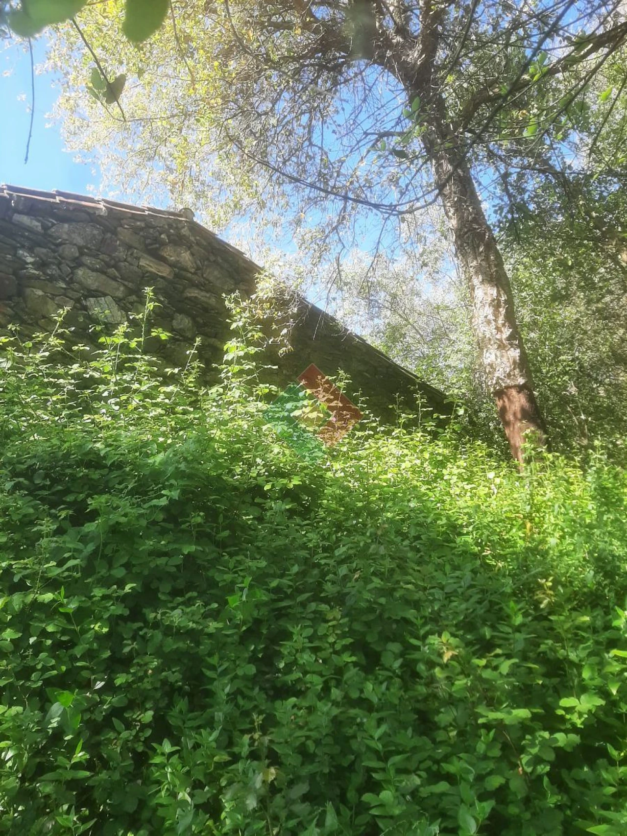 Quinta T2 para Venda em São Salvador da Aramenha Foto 2