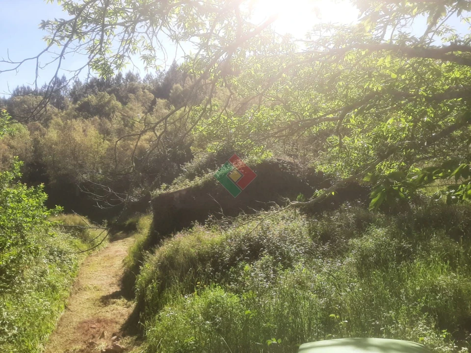 Quinta T2 para Venda em São Salvador da Aramenha Foto 9
