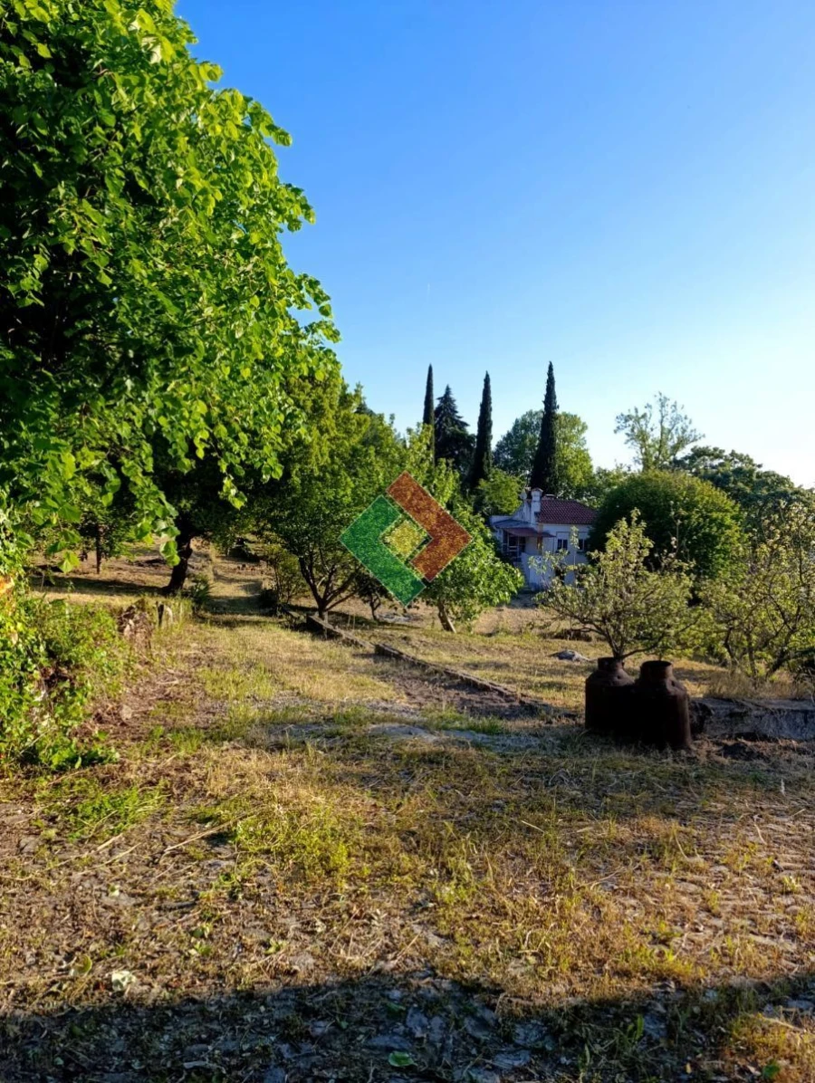Moradia T3 para Arrendamento em Sé e São Lourenço Foto 9