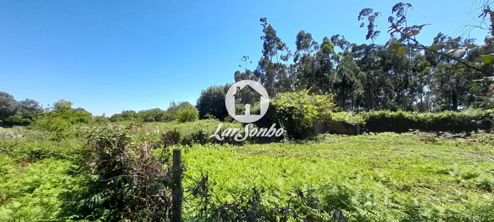 Terreno para Venda em Póvoa de Varzim, Beiriz e Argivai Foto 2