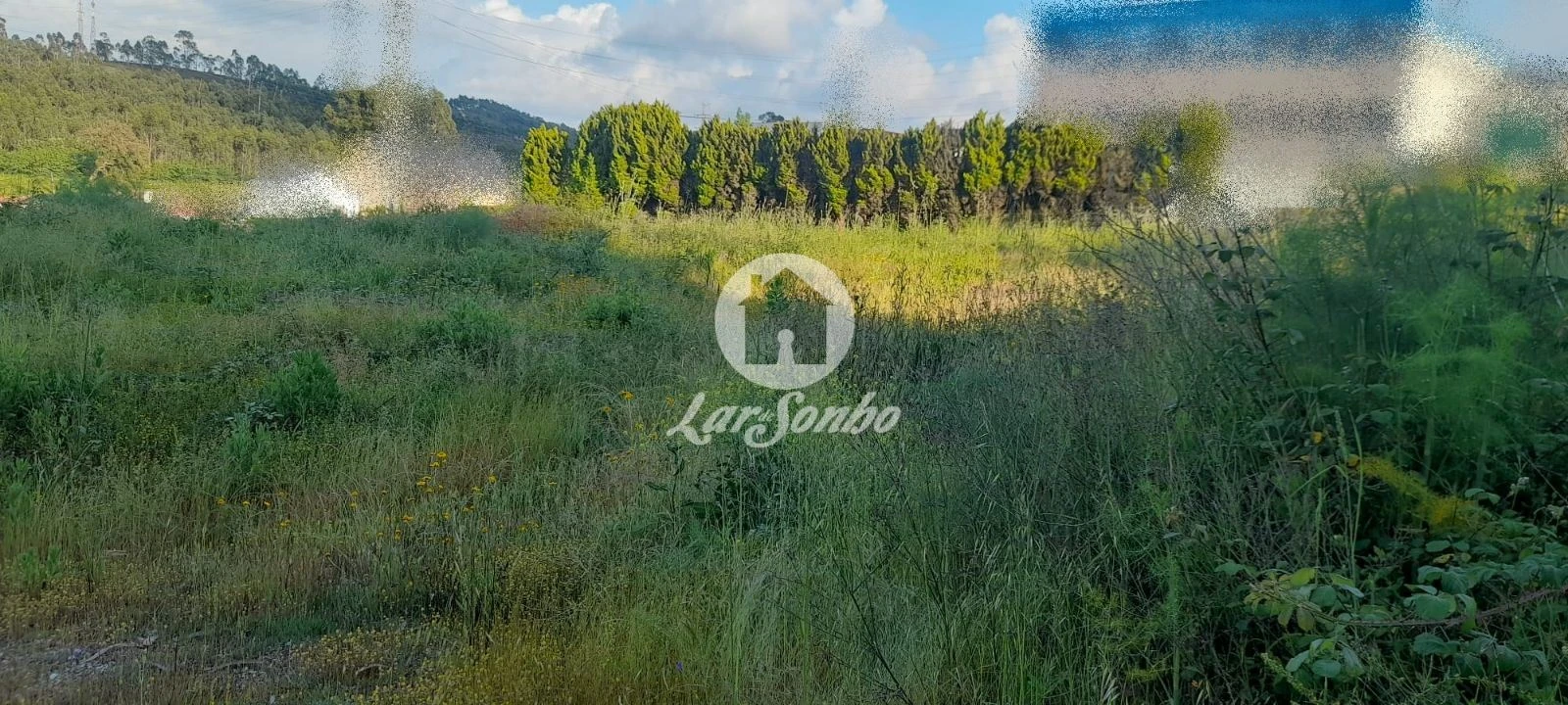 Terreno Agricola ou Rústico para Venda em Bougado (São Martinho e Santiago) Foto 2