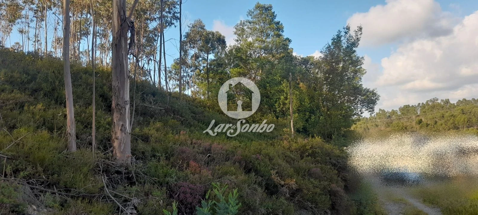 Terreno Agricola ou Rústico para Venda em Bougado (São Martinho e Santiago) Foto 4