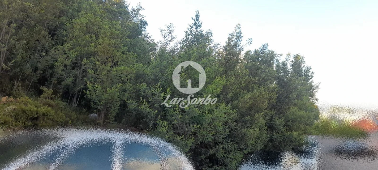 Terreno Agricola ou Rústico para Venda em Bougado (São Martinho e Santiago) Foto 7