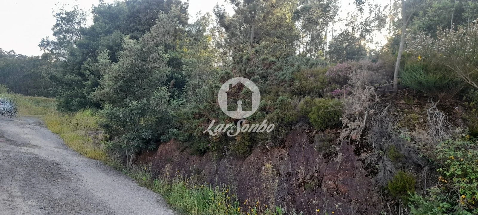 Terreno Agricola ou Rústico para Venda em Bougado (São Martinho e Santiago) Foto 9