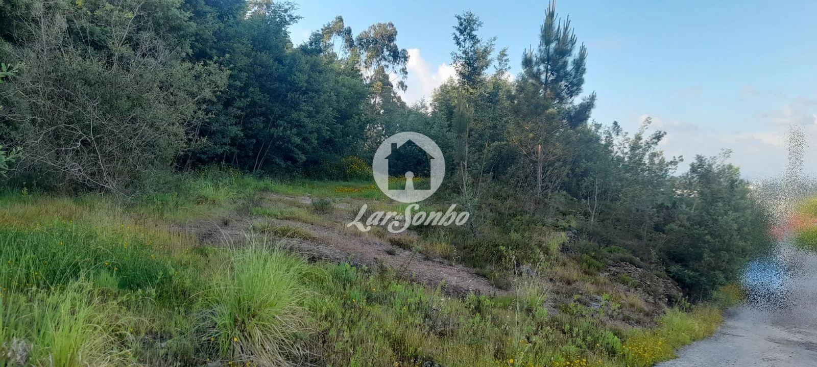 Terreno Agricola ou Rústico para Venda em Bougado (São Martinho e Santiago) Foto 11