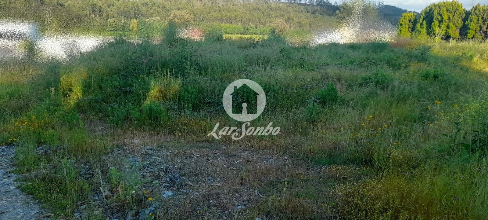 Terreno Agricola ou Rústico para Venda em Bougado (São Martinho e Santiago) Foto 16