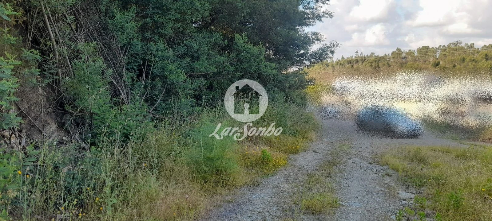 Terreno Agricola ou Rústico para Venda em Bougado (São Martinho e Santiago) Foto 17
