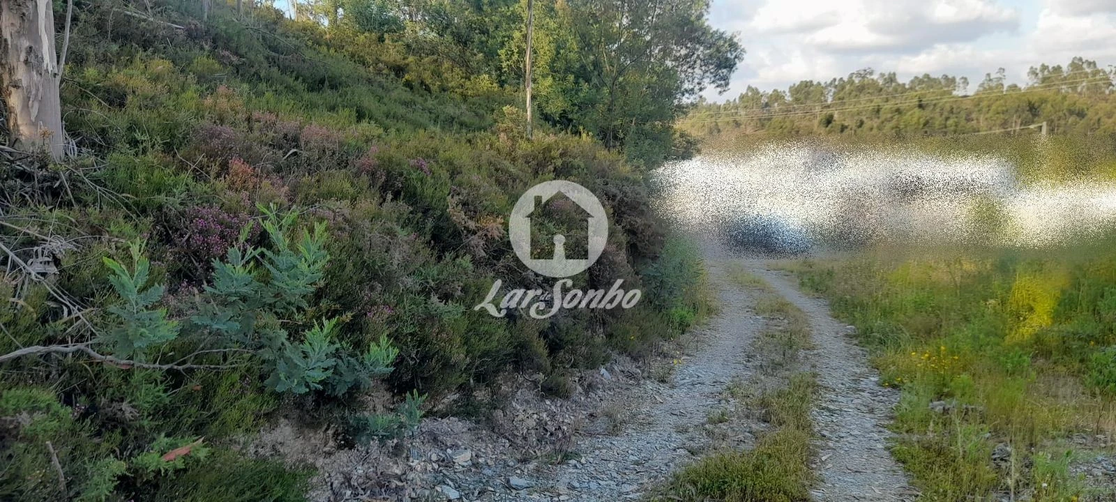 Terreno Agricola ou Rústico para Venda em Bougado (São Martinho e Santiago) Foto 18