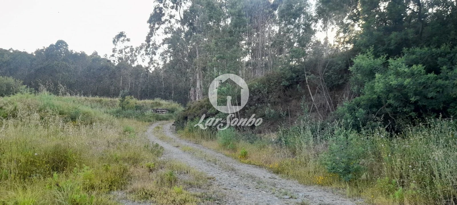Terreno Agricola ou Rústico para Venda em Bougado (São Martinho e Santiago) Foto 26
