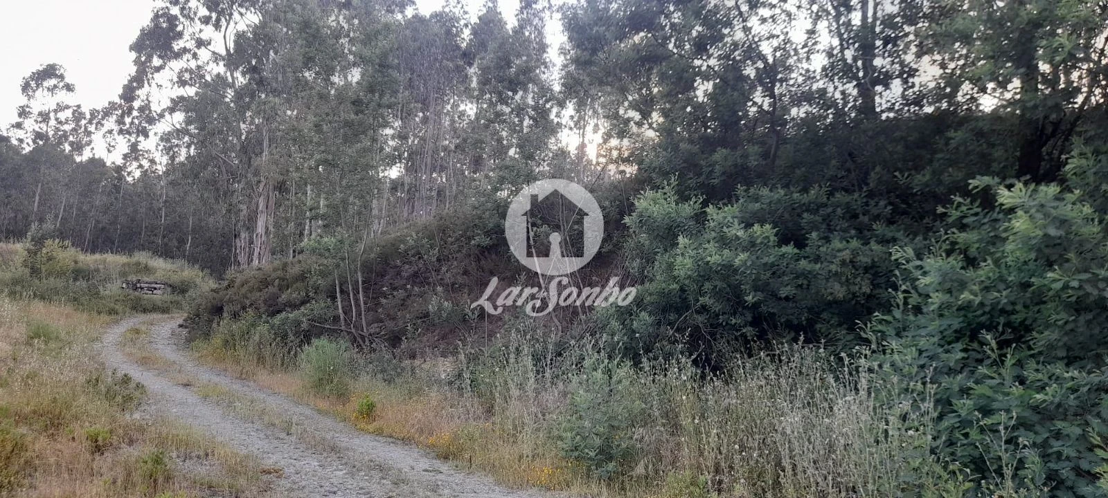 Terreno Agricola ou Rústico para Venda em Bougado (São Martinho e Santiago) Foto 27