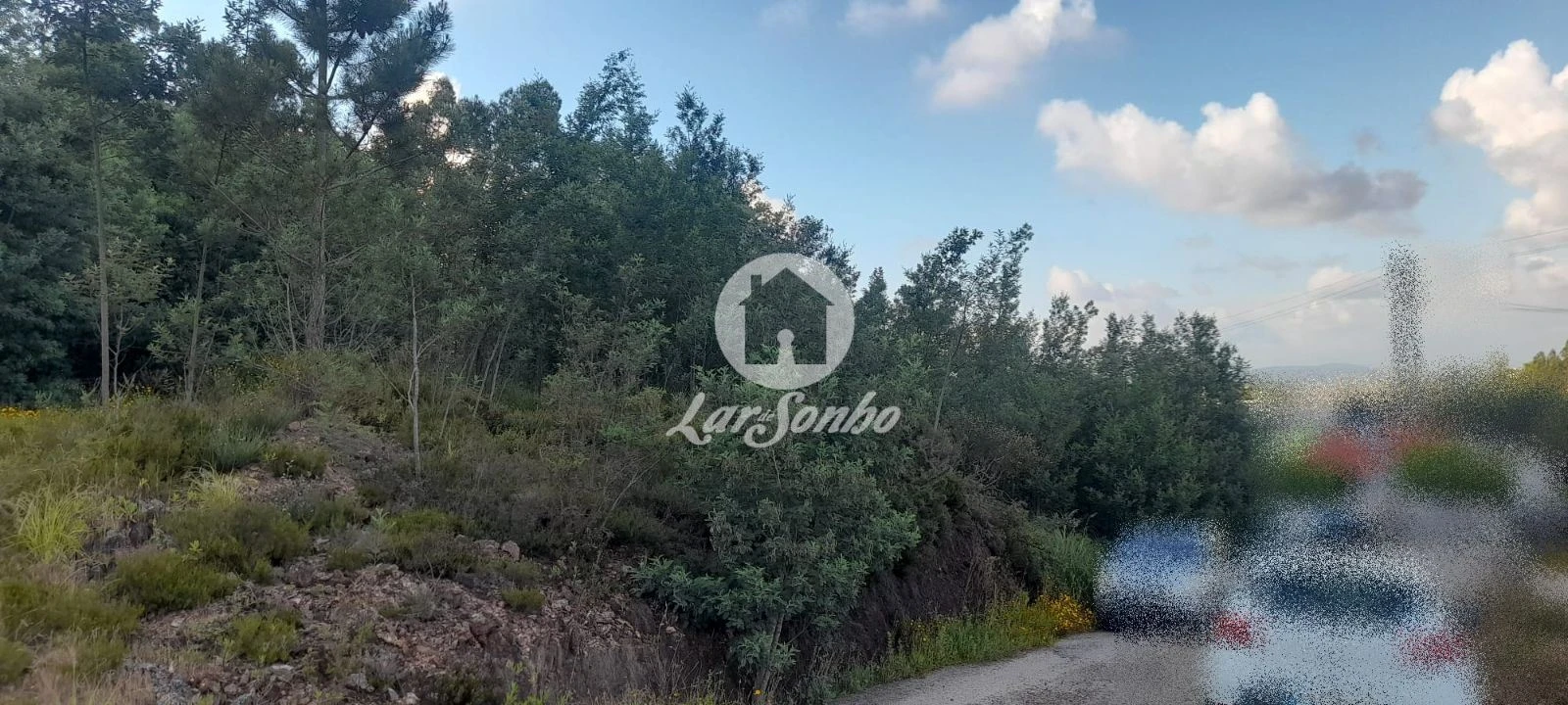 Terreno Agricola ou Rústico para Venda em Bougado (São Martinho e Santiago) Foto 30