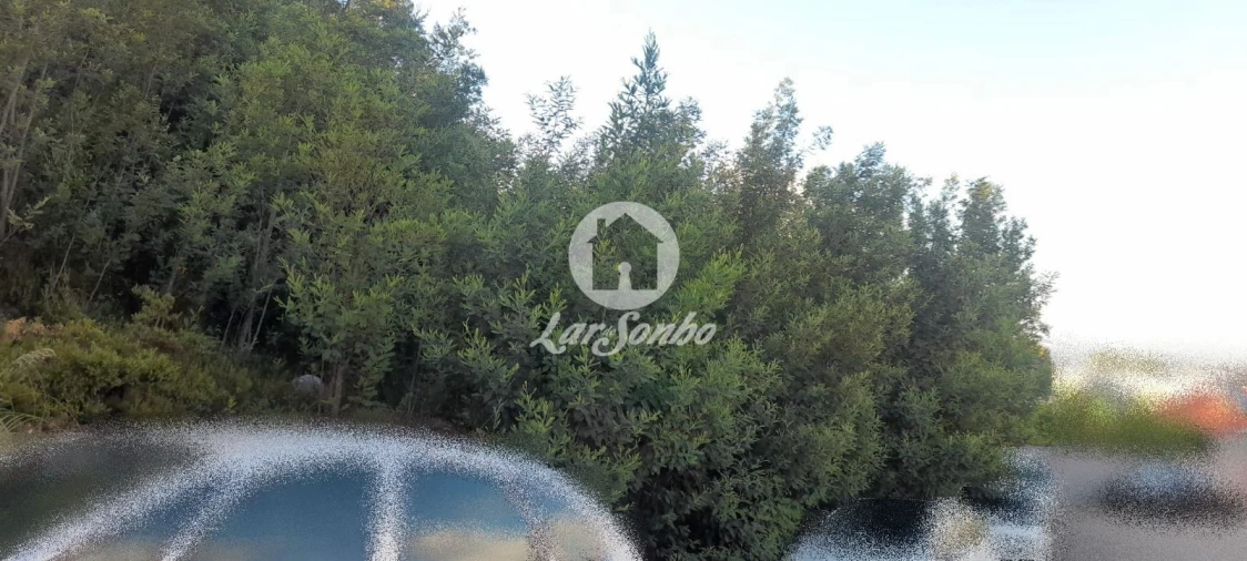 Terreno Agricola ou Rústico para Venda em Bougado (São Martinho e Santiago) Foto 7