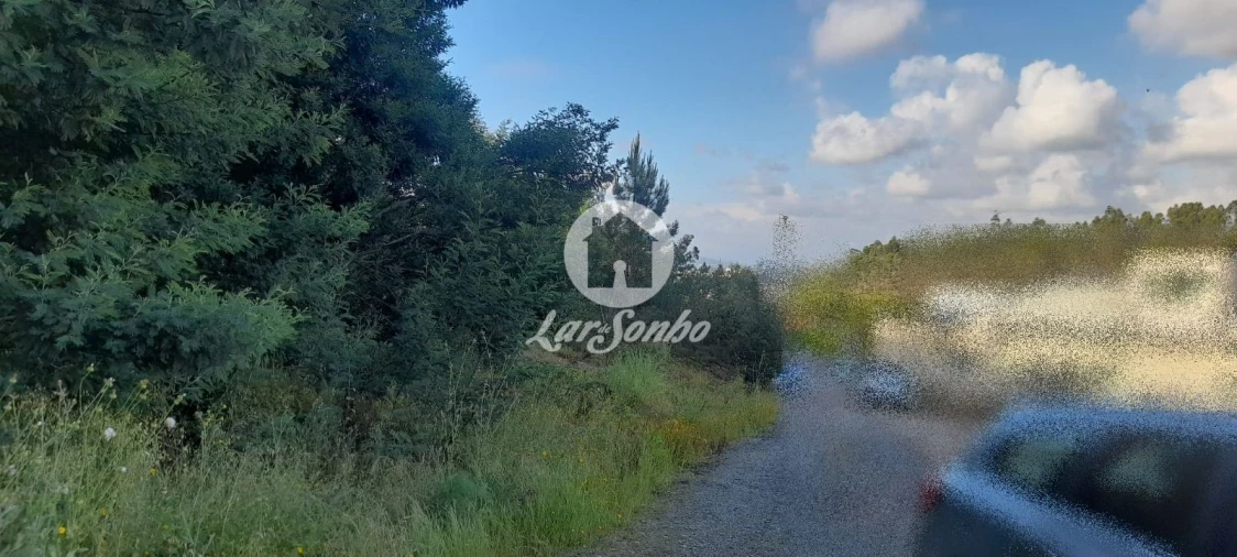 Terreno Agricola ou Rústico para Venda em Bougado (São Martinho e Santiago) Foto 13