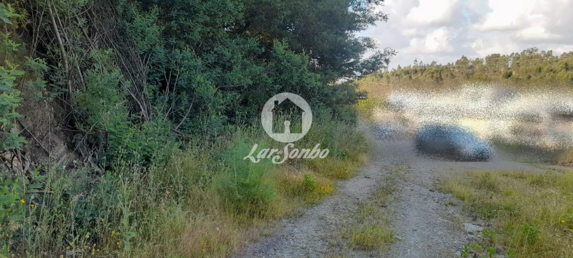 Terreno Agricola ou Rústico para Venda em Bougado (São Martinho e Santiago) Foto 17