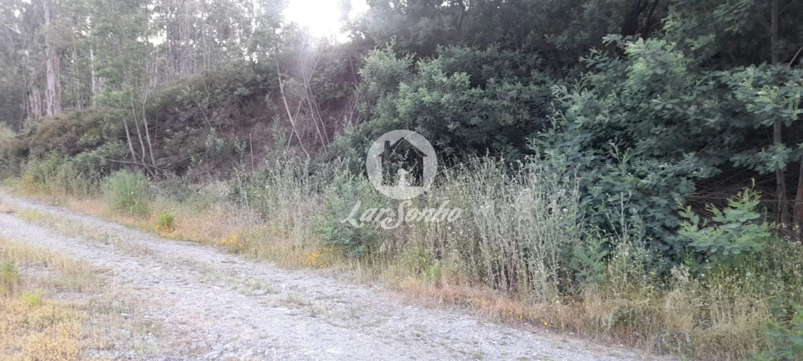 Terreno Agricola ou Rústico para Venda em Bougado (São Martinho e Santiago) Foto 25
