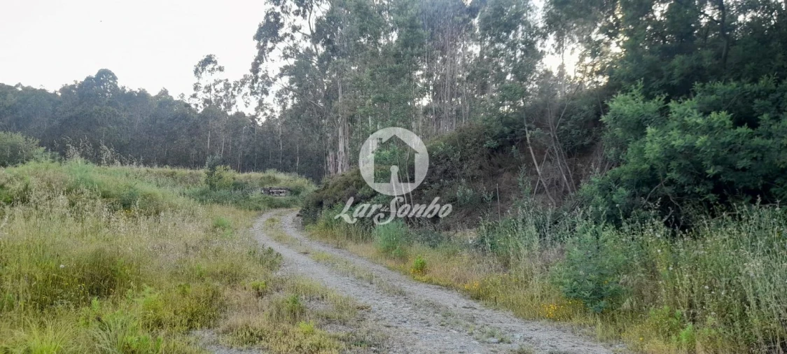 Terreno Agricola ou Rústico para Venda em Bougado (São Martinho e Santiago) Foto 26