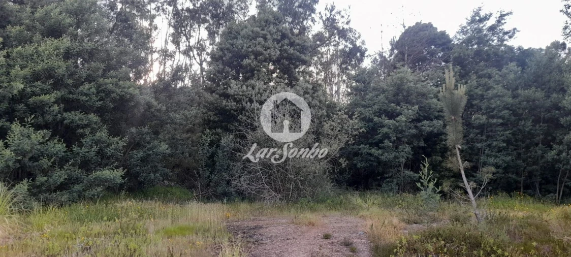 Terreno Agricola ou Rústico para Venda em Bougado (São Martinho e Santiago) Foto 28