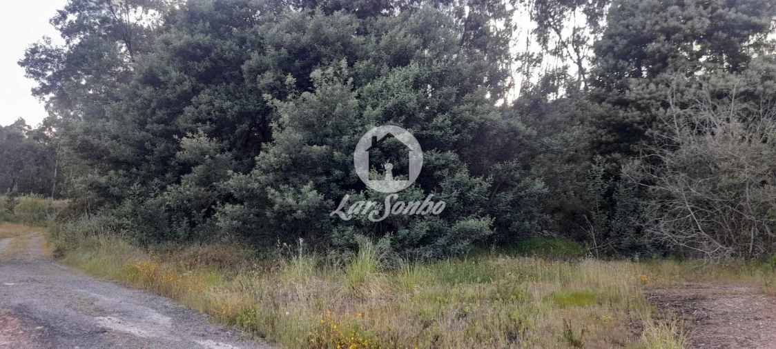 Terreno Agricola ou Rústico para Venda em Bougado (São Martinho e Santiago) Foto 29