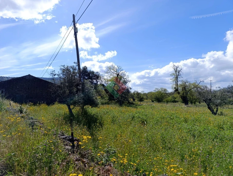 Terreno Agricola ou Rústico para Venda em São Salvador da Aramenha Foto 5