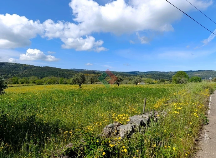 Terreno Agricola ou Rústico para Venda em São Salvador da Aramenha Foto 4