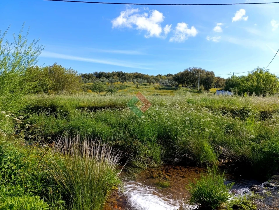 Terreno Agricola ou Rústico para Venda em São Salvador da Aramenha Foto 1