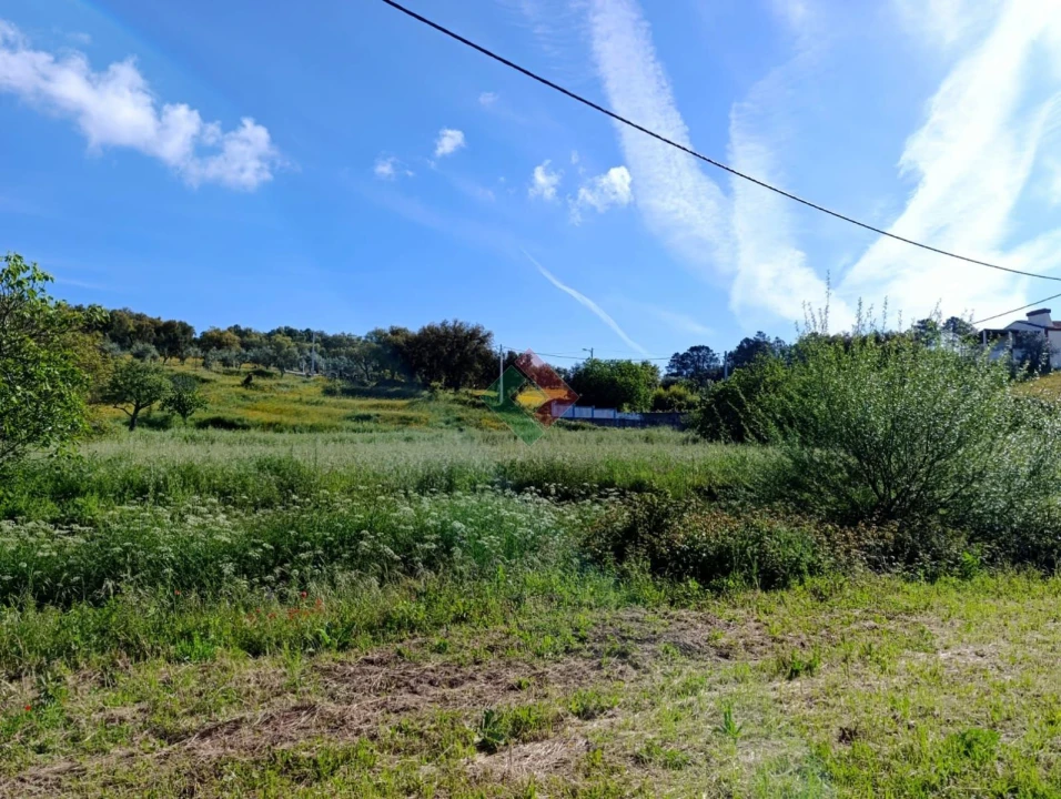 Terreno Agricola ou Rústico para Venda em São Salvador da Aramenha Foto 2