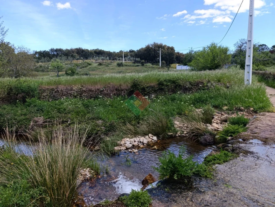Terreno Agricola ou Rústico para Venda em São Salvador da Aramenha Foto 3