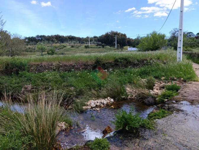 Terreno Agricola ou Rústico para Venda em São Salvador da Aramenha Foto 3