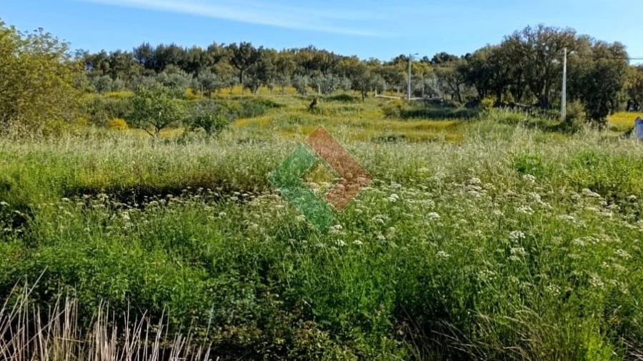 Terreno Agricola ou Rústico para Venda em São Salvador da Aramenha