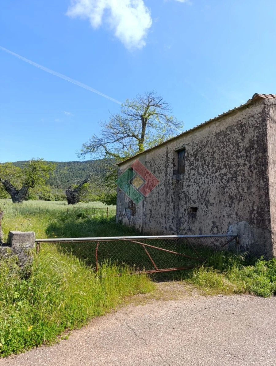 Terreno Agricola ou Rústico para Venda em São Salvador da Aramenha Foto 3