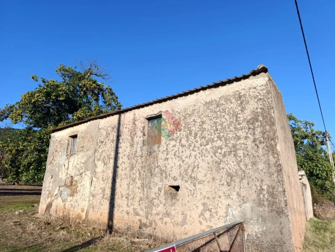 Terreno Agricola ou Rústico para Venda em São Salvador da Aramenha Foto 8