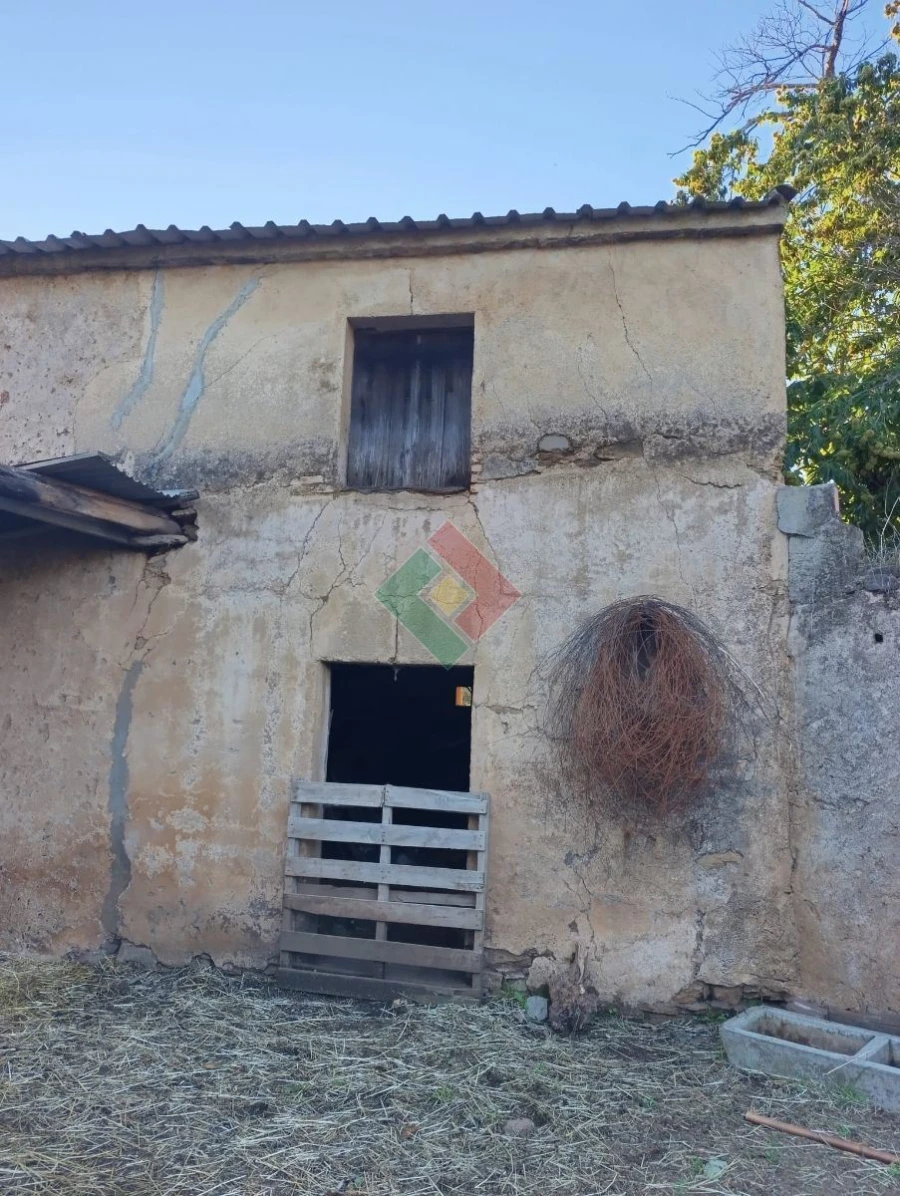 Terreno Agricola ou Rústico para Venda em São Salvador da Aramenha Foto 11