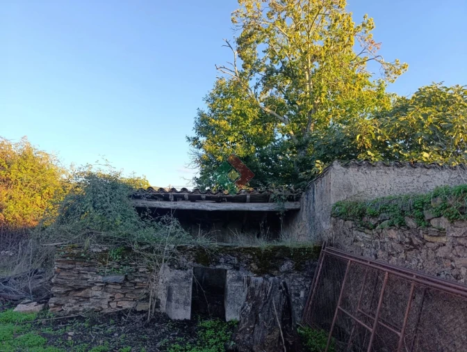 Terreno Agricola ou Rústico para Venda em São Salvador da Aramenha Foto 12