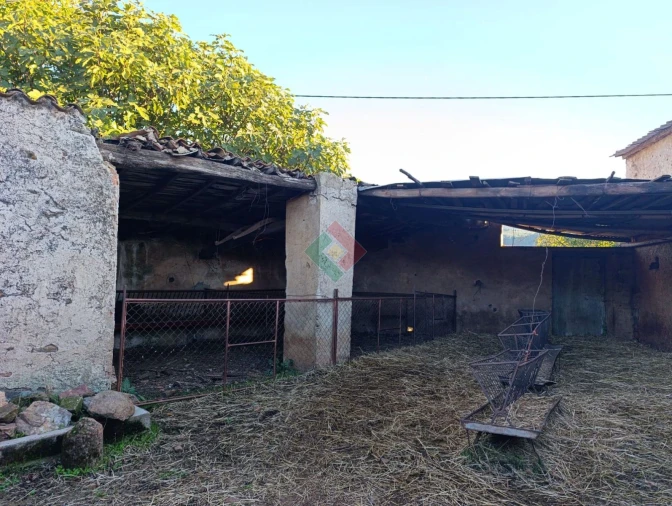 Terreno Agricola ou Rústico para Venda em São Salvador da Aramenha Foto 15
