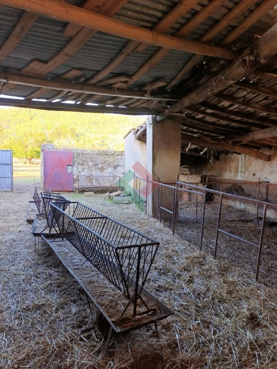Terreno Agricola ou Rústico para Venda em São Salvador da Aramenha Foto 16