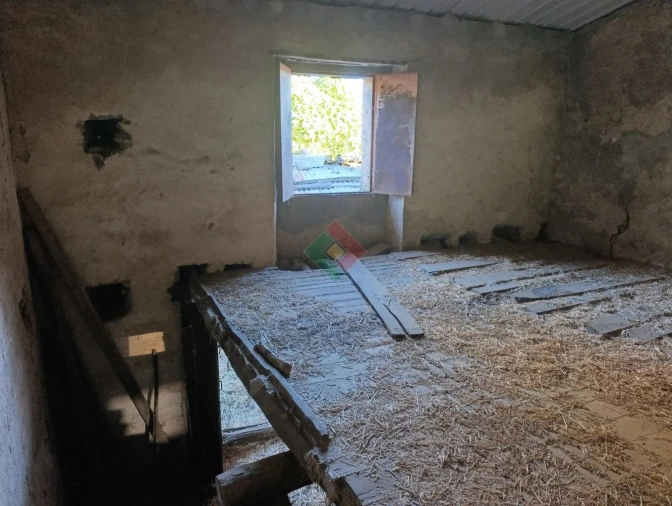 Terreno Agricola ou Rústico para Venda em São Salvador da Aramenha Foto 20