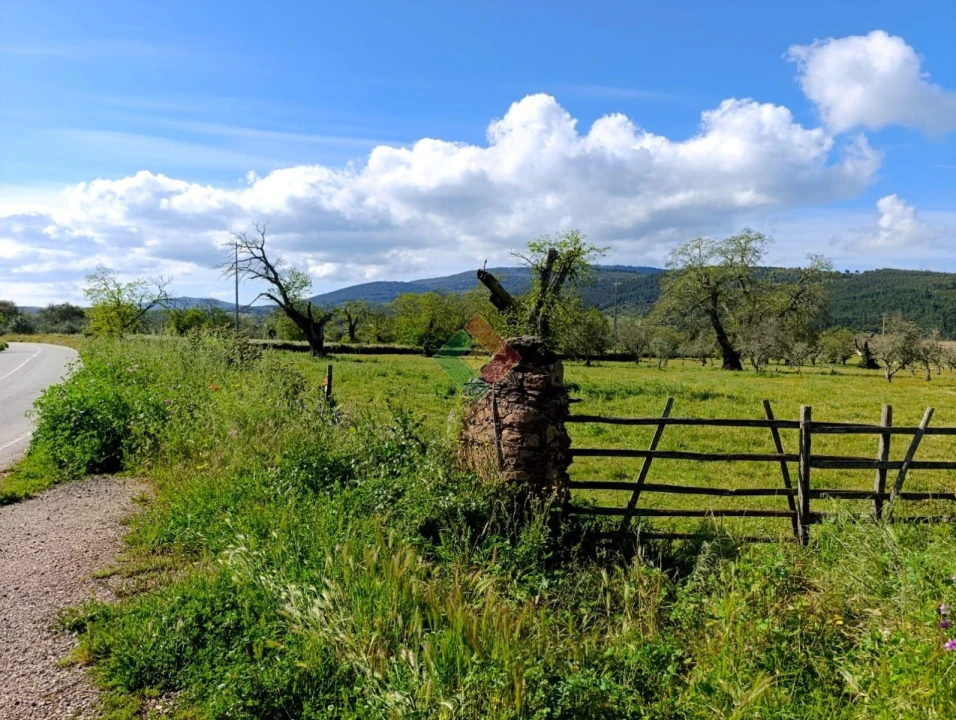 Terreno Agricola ou Rústico para Venda em São Salvador da Aramenha Foto 1
