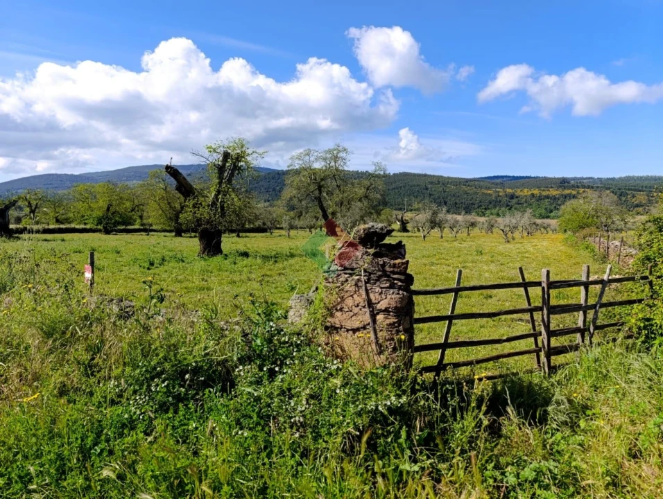 Terreno Agricola ou Rústico para Venda em São Salvador da Aramenha Foto 2