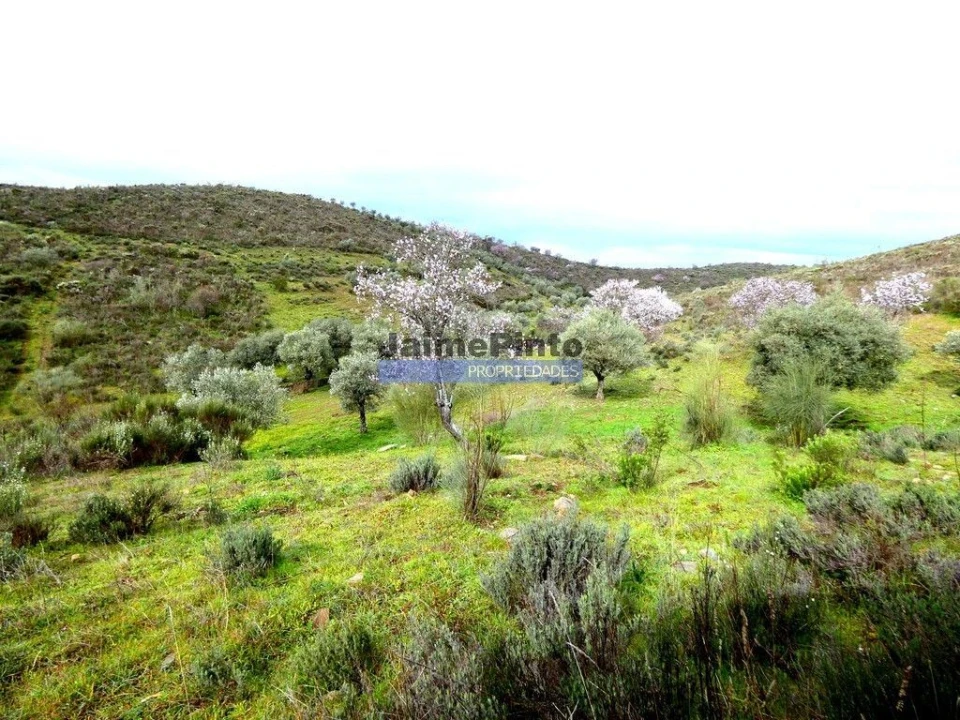 Terreno Agricola ou Rústico para Venda em Touça Foto 5