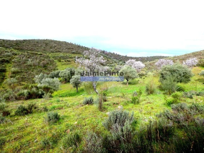 Terreno Agricola ou Rústico para Venda em Touça Foto 5