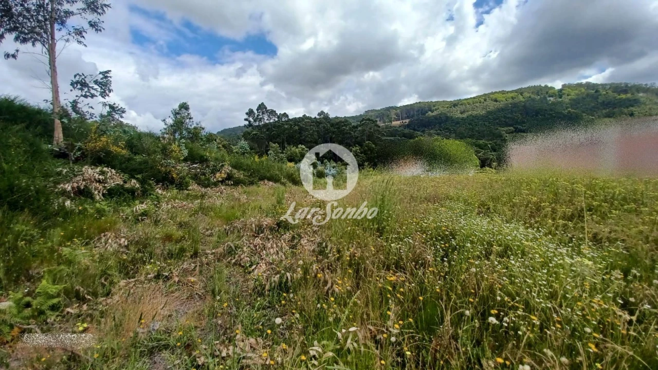 Terreno P/ Prédio para Venda em Santo Tirso, Couto (Santa Cristina e São Miguel) e Burgães Foto 2