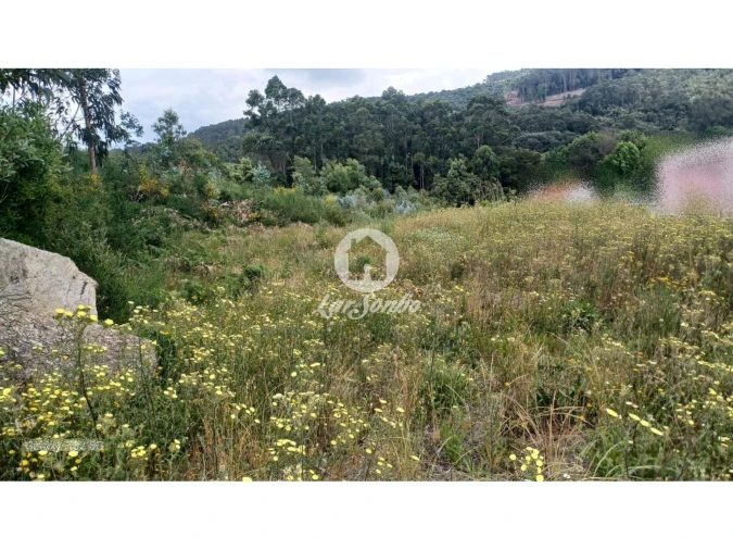 Terreno P/ Prédio para Venda em Santo Tirso, Couto (Santa Cristina e São Miguel) e Burgães Foto 3