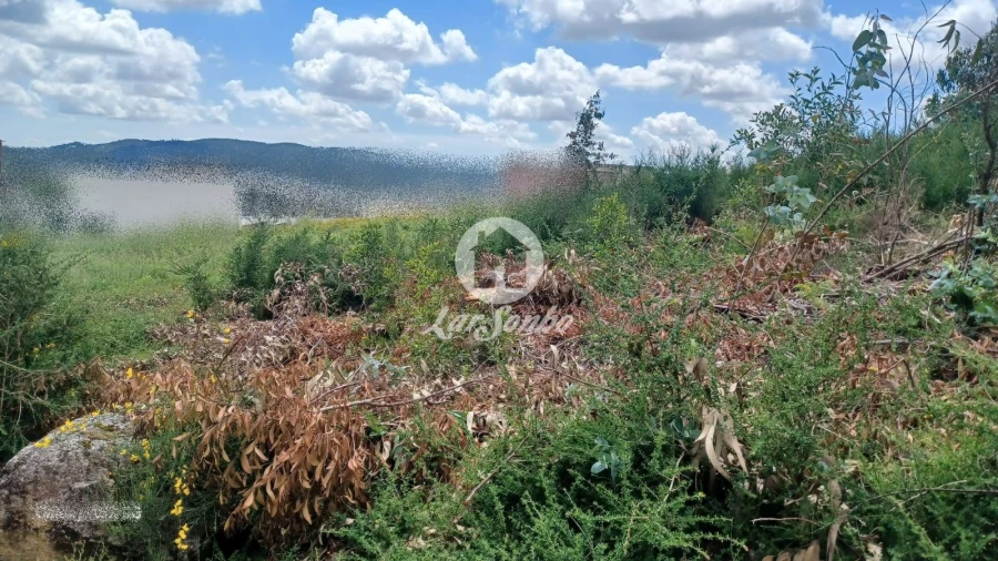 Terreno P/ Prédio para Venda em Santo Tirso, Couto (Santa Cristina e São Miguel) e Burgães Foto 10