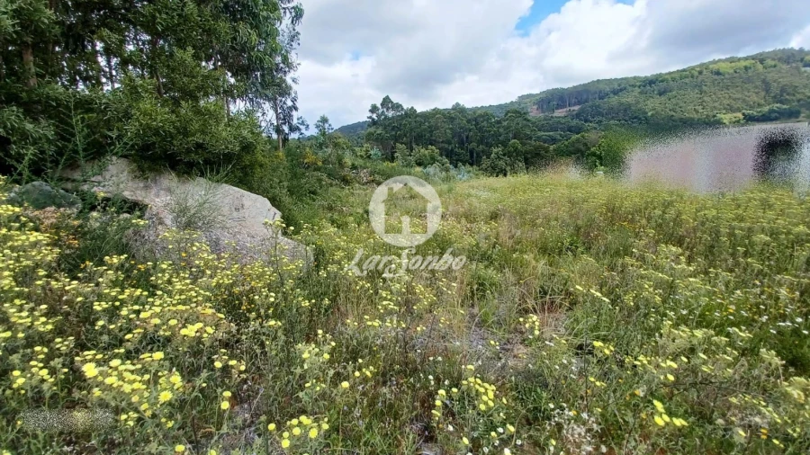Terreno P/ Prédio para Venda em Santo Tirso, Couto (Santa Cristina e São Miguel) e Burgães