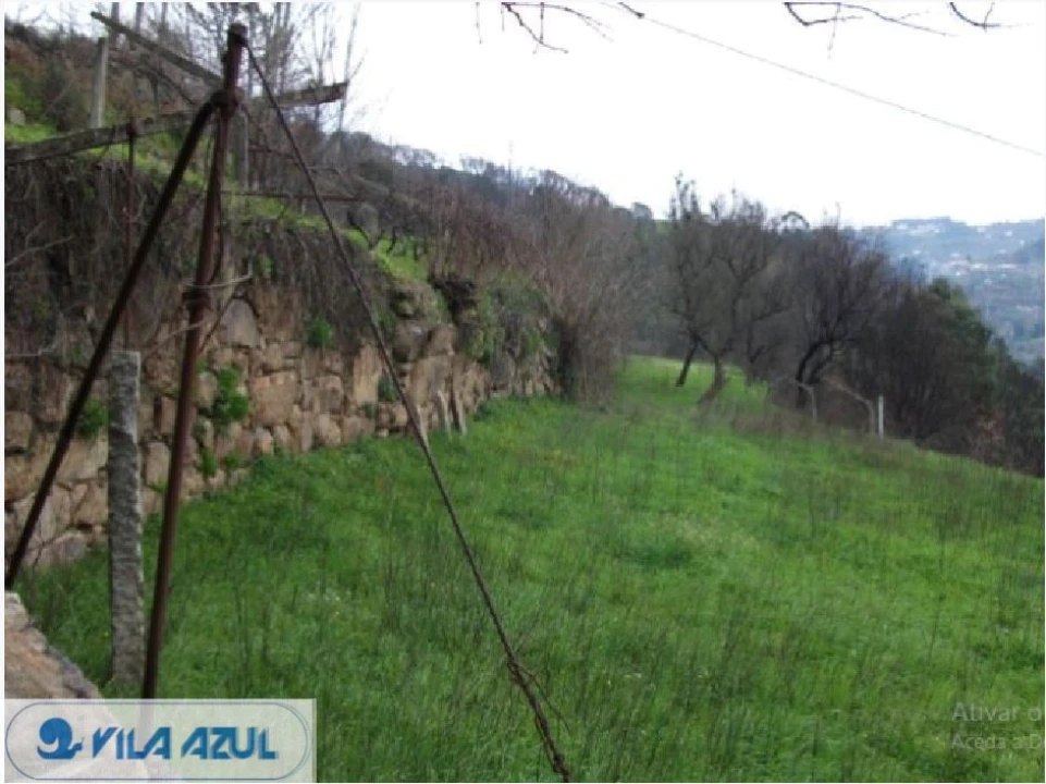 Negócio para Venda em Penhalonga e Paços de Gaiolo Foto 6