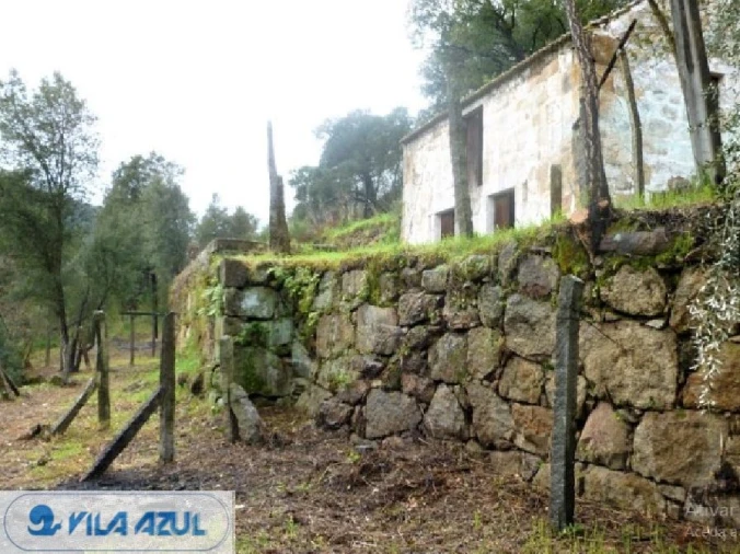 Negócio para Venda em Penhalonga e Paços de Gaiolo Foto 1