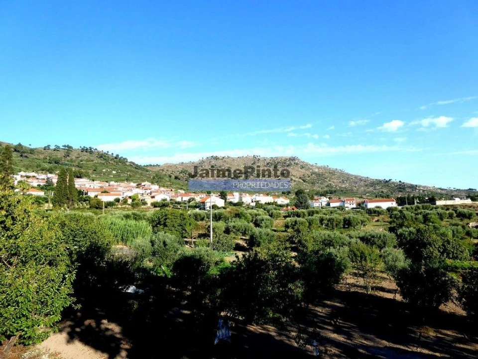 Terreno Misto para Venda em Lajeosa do Mondego Foto 2