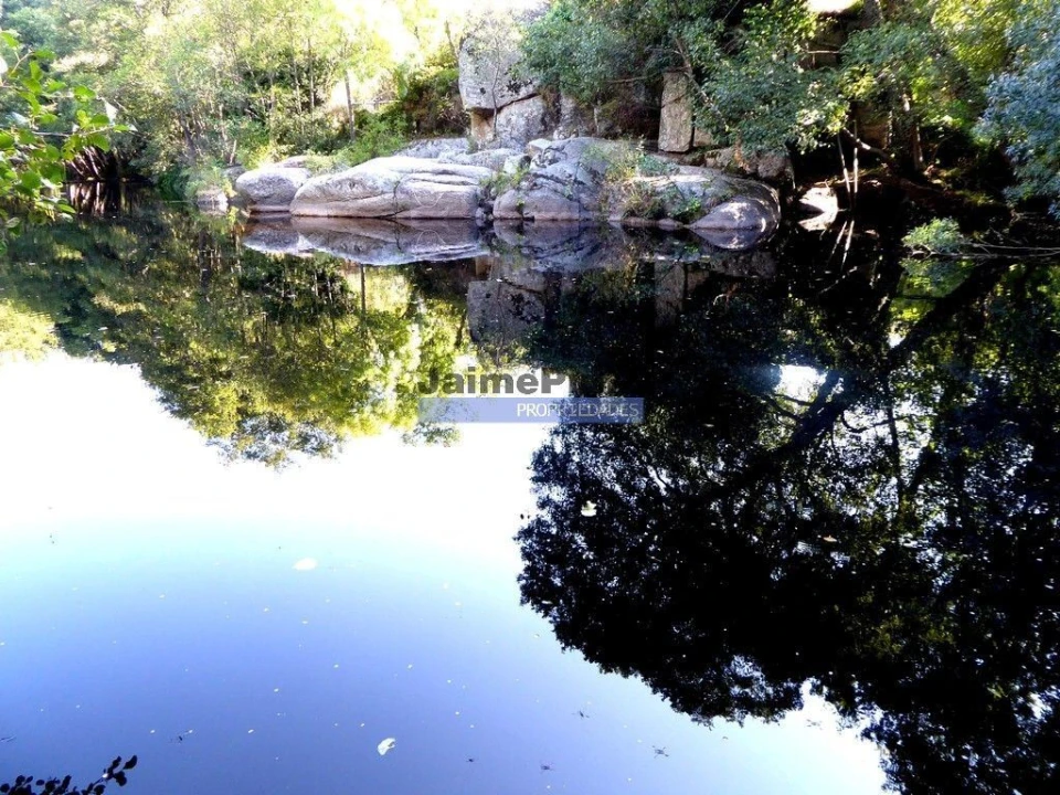 Terreno Misto para Venda em Lajeosa do Mondego Foto 3