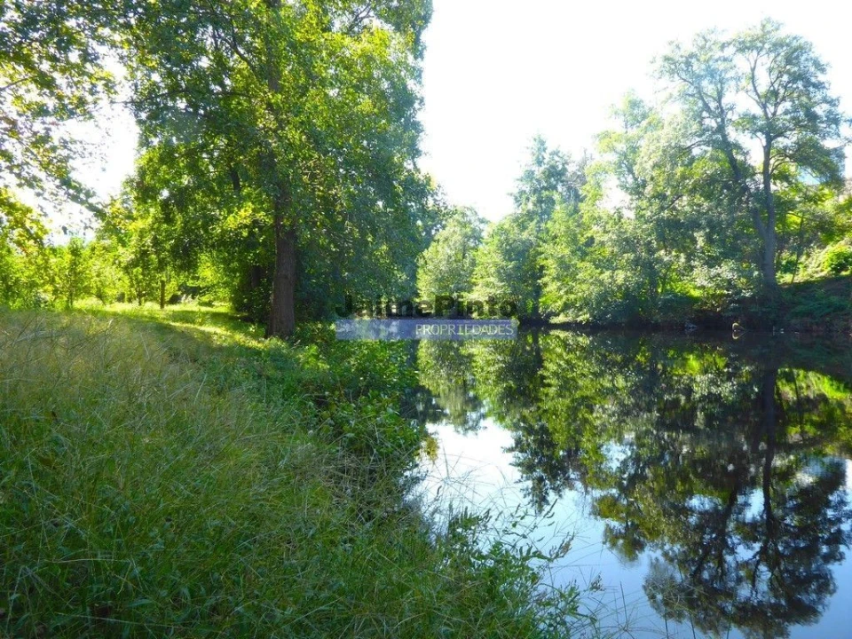 Terreno Misto para Venda em Lajeosa do Mondego Foto 5