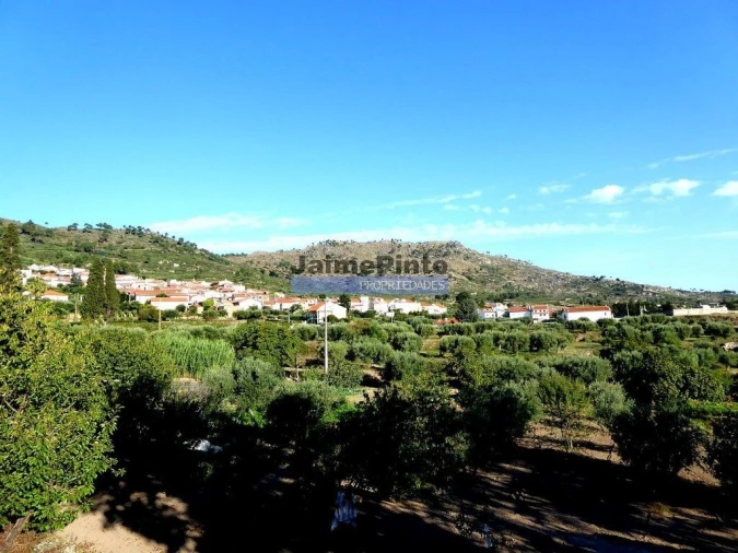 Terreno Misto para Venda em Lajeosa do Mondego Foto 2